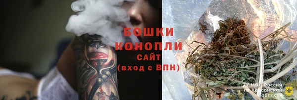 прущие грибы Алексеевка
