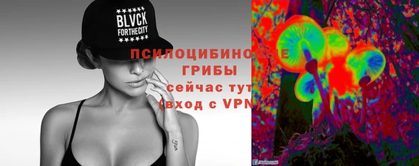прущие грибы Алексеевка