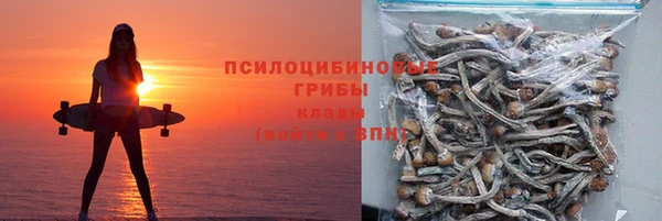 дурь Алексин