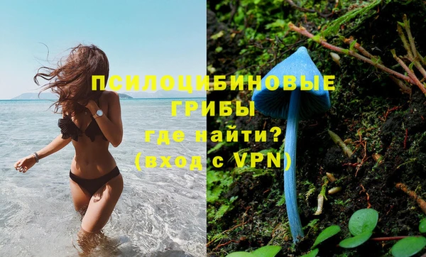 прущие грибы Алексеевка