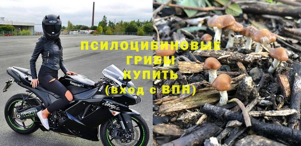 дурь Алексин
