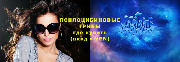 дурь Алексин