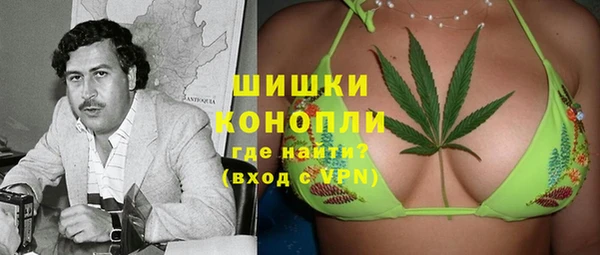 прущие грибы Алексеевка